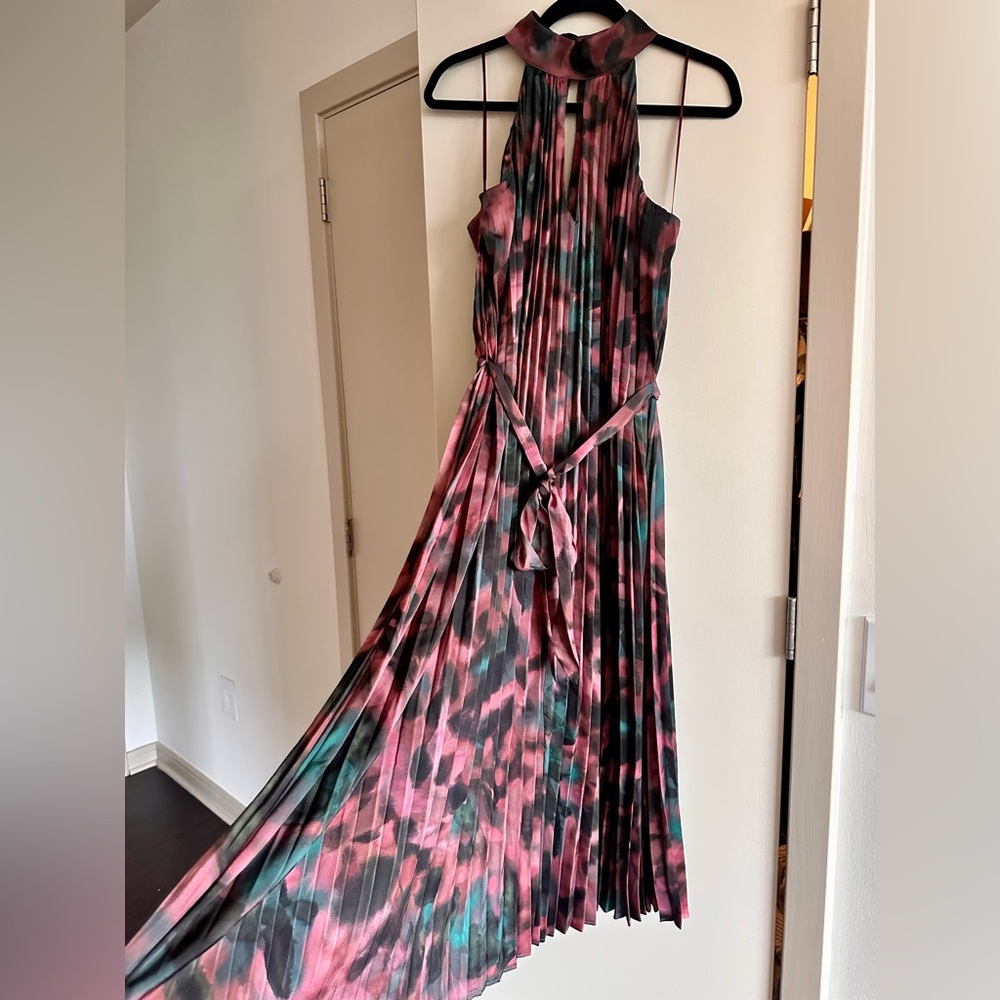 Sofia by Sofia Vergara Pink and Green Pleated Maxi Dress